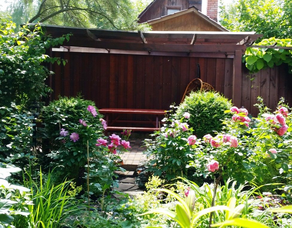 Проект Горки 2