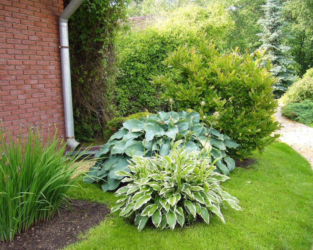 Ливадия на Истре